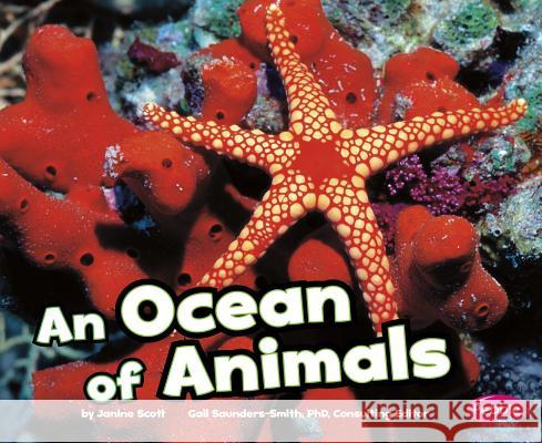 An Ocean of Animals Janine Scott 9781429671514 Capstone Press - książka