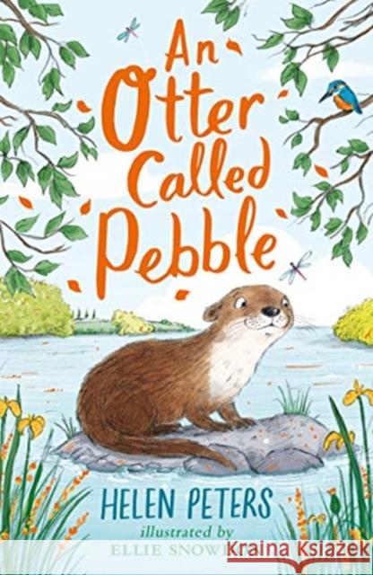 An Otter Called Pebble    9781788001564 Nosy Crow Ltd - książka