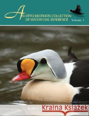 An Otto Brothers Collection of Waterfowl Reference John R. and Otto Jason Otto 9781425763763 Xlibris Corporation - książka
