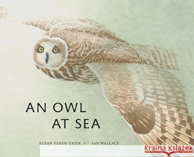An Owl at Sea  9781773061115 Groundwood Books - książka