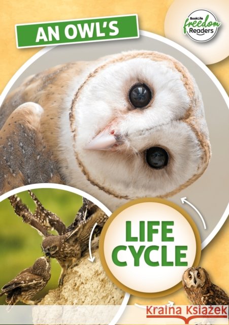 An Owl's Life Cycle Madeline Tyler 9781801551342 BookLife Publishing - książka