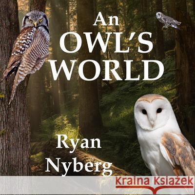 An Owl's World Ryan Nyberg 9781507618561 Createspace - książka