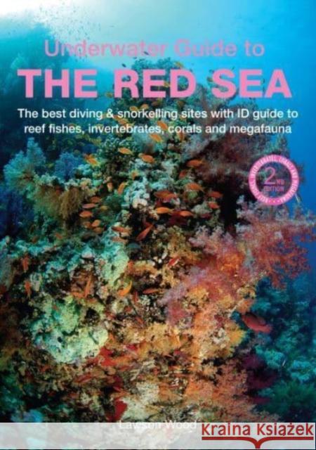 An Underwater Guide to the Red Sea (2nd) Lawson Wood 9781913679361 John Beaufoy Publishing Ltd - książka