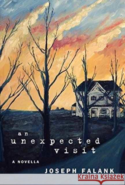 An Unexpected Visit Joseph Falank 9781941058541 Winter Goose Publishing - książka