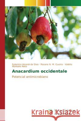 Anacardium occidentale Amaral Da Silva Rubenice 9783841707598 Novas Edicoes Academicas - książka