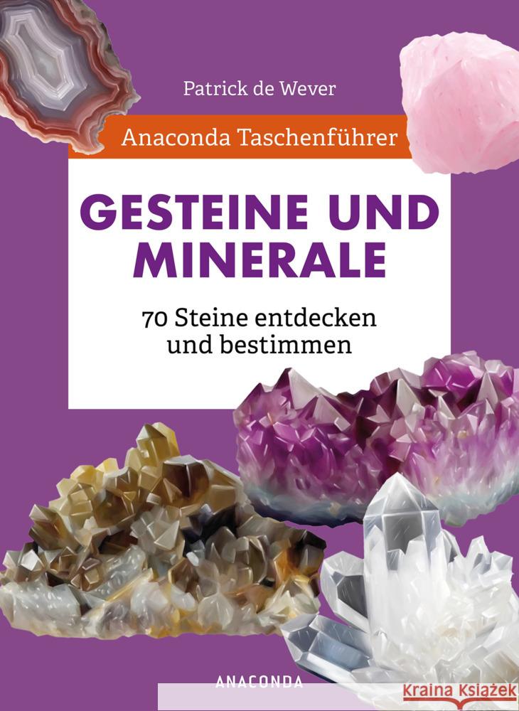 Anaconda Taschenführer Gesteine und Minerale. 70 Steine entdecken und bestimmen de Wever, Patrick 9783730611562 Anaconda - książka