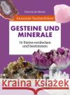 Anaconda Taschenführer Gesteine und Minerale. 70 Steine entdecken und bestimmen de Wever, Patrick 9783730611562 Anaconda