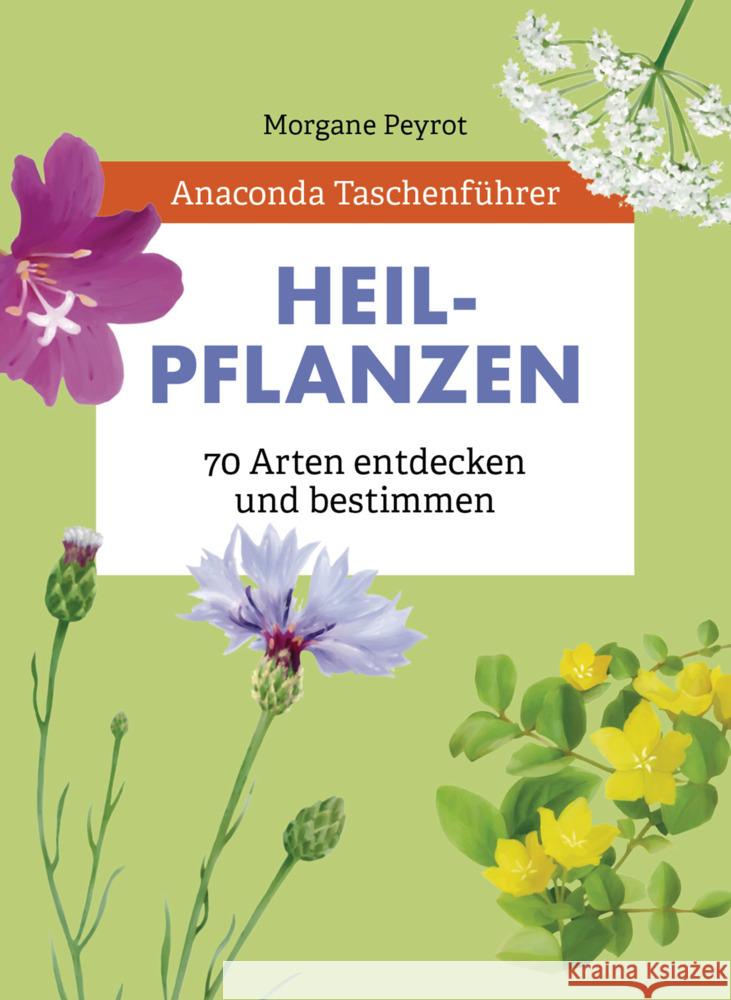 Anaconda Taschenführer Heilpflanzen. 70 Arten entdecken und bestimmen Peyrot, Morgane 9783730610121 Anaconda - książka