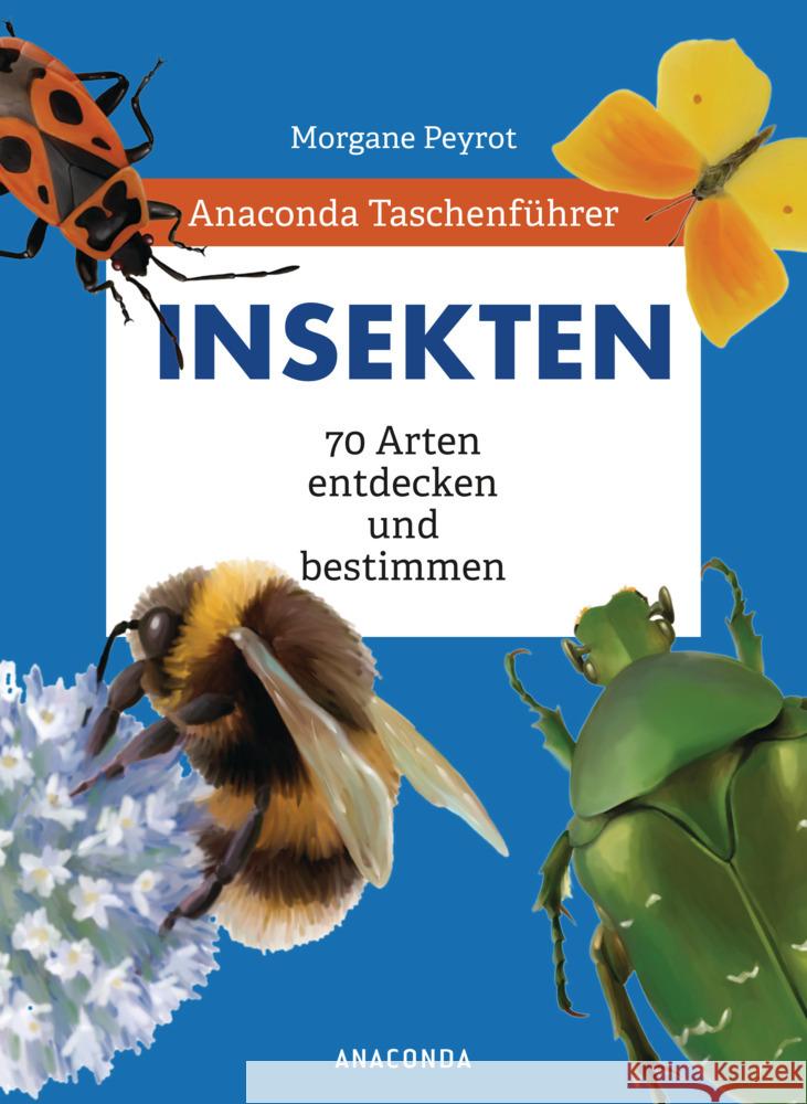 Anaconda Taschenführer Insekten. 70 Arten entdecken und bestimmen Peyrot, Morgane, Herzog, Lise 9783730609484 Anaconda - książka