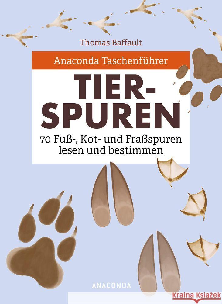 Anaconda Taschenführer Tierspuren. 70 Fuß-, Kot- und Fraßspuren lesen und bestimmen Baffault, Thomas 9783730613252 Anaconda - książka