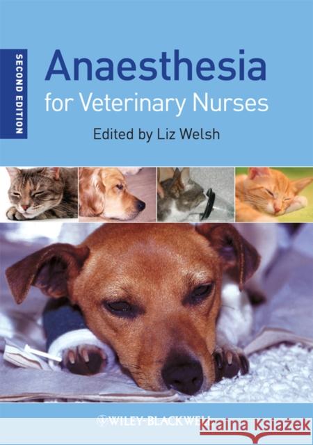 Anaesthesia for Veterinary Nurses E Welsh 9781405186735 John Wiley and Sons Ltd - książka