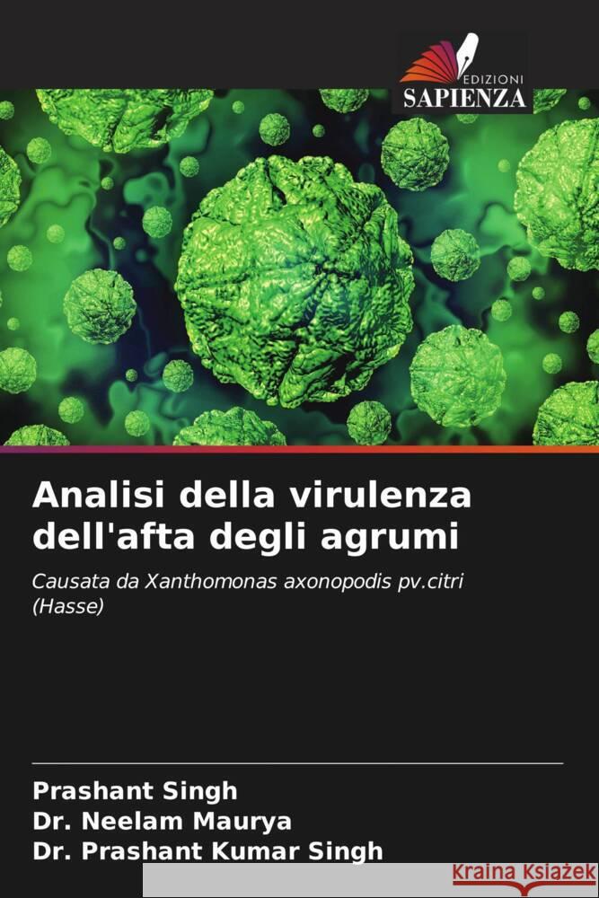 Analisi della virulenza dell'afta degli agrumi Prashant Singh Neelam Maurya Prashant Kuma 9786207268313 Edizioni Sapienza - książka