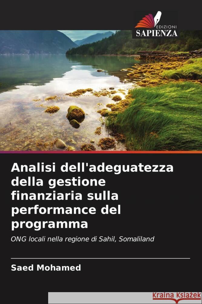 Analisi dell'adeguatezza della gestione finanziaria sulla performance del programma Mohamed, Saed 9786205555545 Edizioni Sapienza - książka