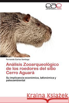 Analisis Zooarqueologico de Los Roedores del Sitio Cerro Aguara Fernando Carlos Santiago 9783659023217 Editorial Acad Mica Espa Ola - książka