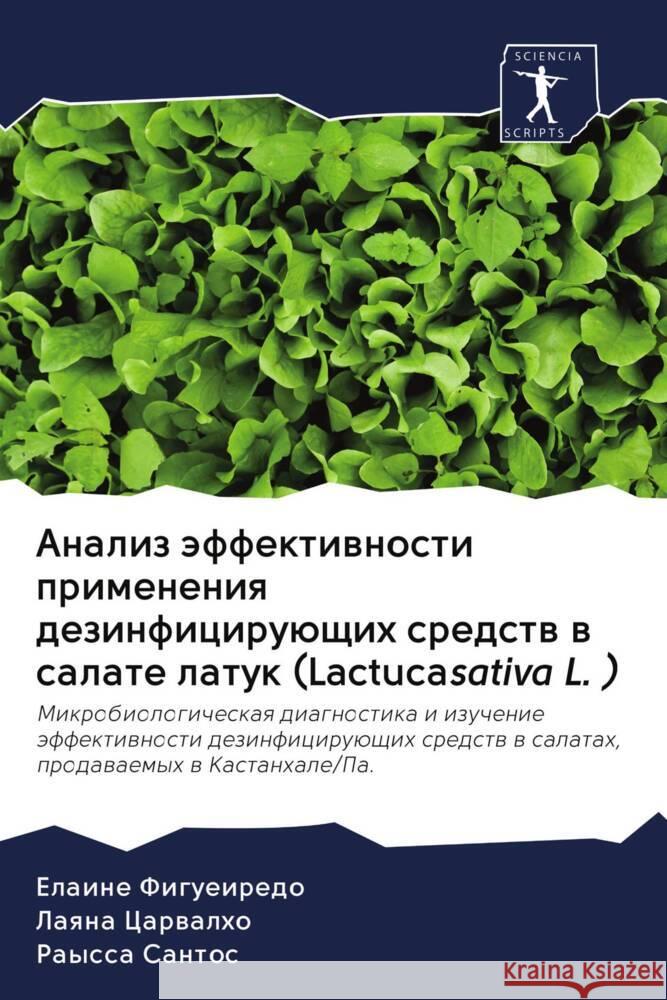 Analiz äffektiwnosti primeneniq dezinficiruüschih sredstw w salate latuk (Lactucasativa L. ) Figueiredo, Elaine, Carwalho, Laqna, Santos, Rayssa 9786203064025 Sciencia Scripts - książka