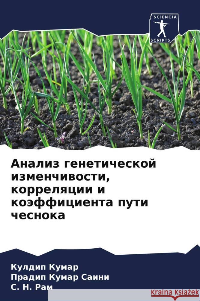 Analiz geneticheskoj izmenchiwosti, korrelqcii i koäfficienta puti chesnoka Kumar, Kuldip, Saini, Pradip Kumar, Ram, C. N. 9786204936246 Sciencia Scripts - książka