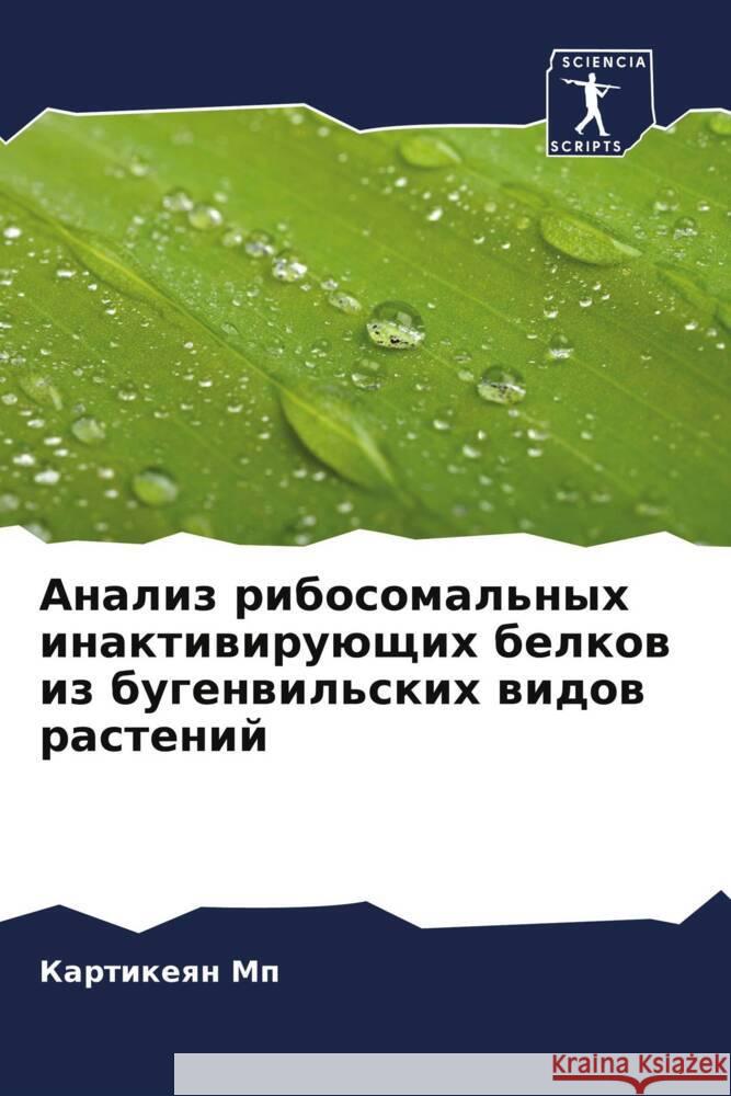 Analiz ribosomal'nyh inaktiwiruüschih belkow iz bugenwil'skih widow rastenij Mp, Kartikeqn 9786204590202 Sciencia Scripts - książka