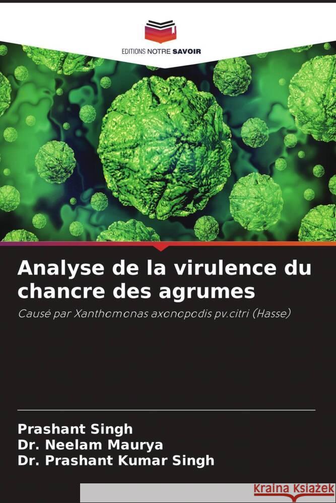 Analyse de la virulence du chancre des agrumes Prashant Singh Neelam Maurya Prashant Kuma 9786207268276 Editions Notre Savoir - książka