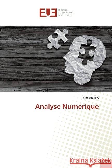 Analyse Numérique Iliev, Christo 9783330868762 Éditions universitaires européennes - książka