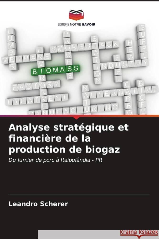 Analyse stratégique et financière de la production de biogaz Scherer, Leandro 9786206533047 Editions Notre Savoir - książka