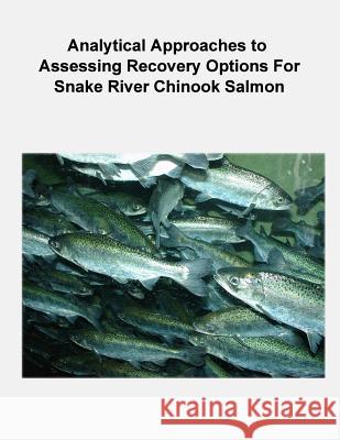 Analytical Approaches to Assessing Recovery Options for Snake River Chinook Salmon Phaedra Budy U. S. Department of the Interior Fish and Wildlife Service 9781479184439 Createspace - książka