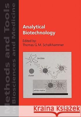 Analytical Biotechnology Thomas G. M. Schalkhammer Thomas G. M. Schalkhammer 9783764365899 Birkhauser - książka