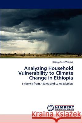 Analyzing Household Vulnerability to Climate Change in Ethiopia Bedaso Taye Wakeyo   9783847321385 LAP Lambert Academic Publishing AG & Co KG - książka