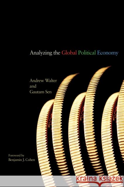 Analyzing the Global Political Economy  Walter 9780691139593  - książka