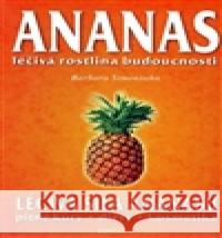 Ananas Barbara Simonsohn 9788073361440 Fontána - książka