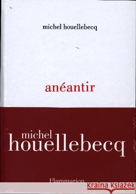 Anéantir Houellebecq, Michel 9782080271532 Flammarion SA - książka