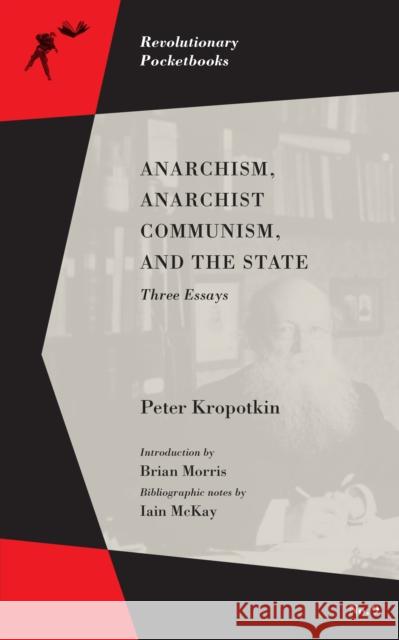 Anarchism, Anarchist Communism, and The State: Three Essays Iain McKay 9781629635750 PM Press - książka