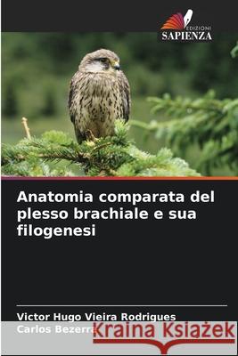 Anatomia comparata del plesso brachiale e sua filogenesi Vieira Rodrigues, Victor Hugo, Bezerra, Carlos 9786208494063 Edizioni Sapienza - książka