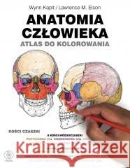 Anatomia człowieka. Atlas do kolorowania Wynn Kapit, Lawrence M. Elson 9788381885676 Rebis - książka