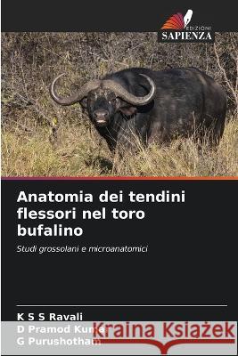 Anatomia dei tendini flessori nel toro bufalino K S S Ravali, D Pramod Kumar, G Purushotham 9786205369500 Edizioni Sapienza - książka