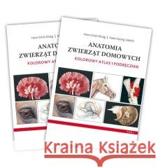 Anatomia zwierząt domowych. Kolorowy atlas... w.4 Hans-Georg Liebich, Horst Erich Konig 9788375799002 Galaktyka - książka