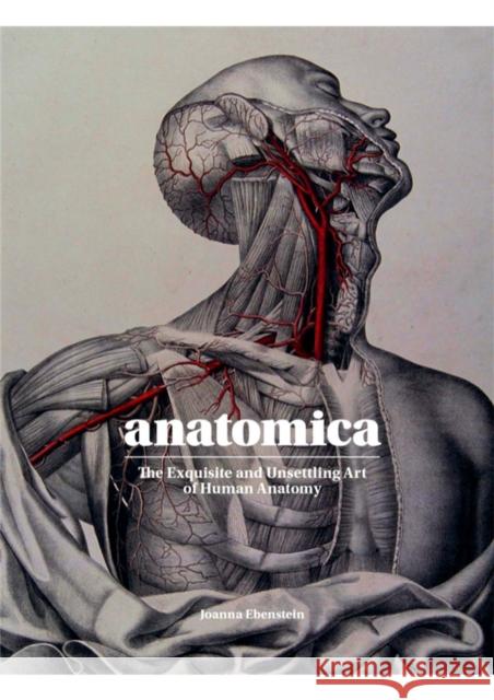 Anatomica: The Exquisite and Unsettling Art of Human Anatomy Joanna Ebenstein 9781786275714 Orion Publishing Co - książka
