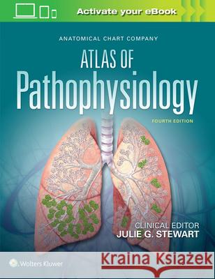 Anatomical Chart Company Atlas of Pathophysiology Julie Stewart 9781496370921 LWW - książka