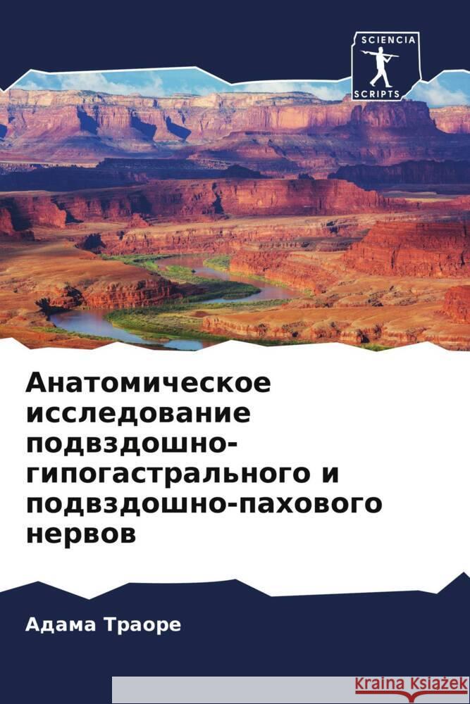 Anatomicheskoe issledowanie podwzdoshno-gipogastral'nogo i podwzdoshno-pahowogo nerwow Traore, Adama, Ongoiba, Nouhoum, Ba, Abou Baue 9786204415796 Sciencia Scripts - książka