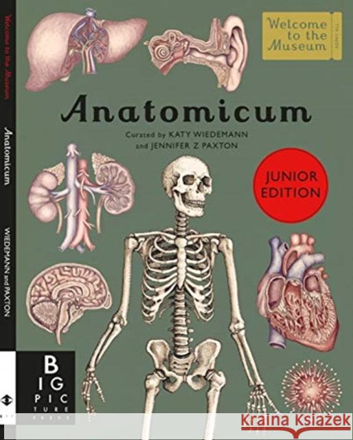 Anatomicum Junior Katy Wiedemann Jennifer Z Paxton  9781787416543 Templar Publishing - książka