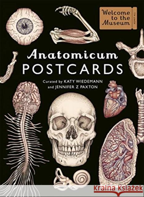 Anatomicum Postcard Box Jennifer Z Paxton 9781787416529 Templar Publishing - książka