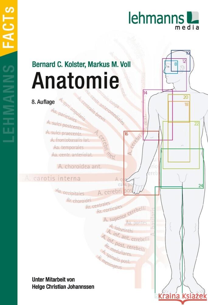 Anatomie Voll, Markus M., Kolster, Bernard C. 9783965431737 Lehmanns Media - książka
