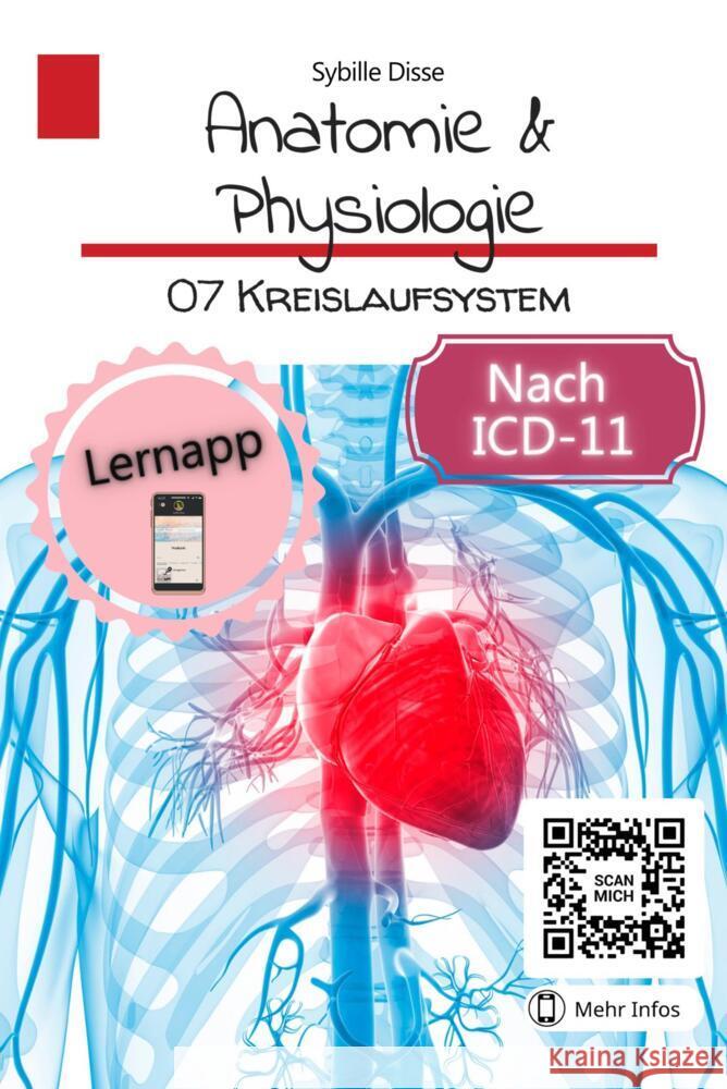 Anatomie & Physiologie Band 07: Kreislaufsystem Sybille Disse 9789403691442 Bookmundo - książka