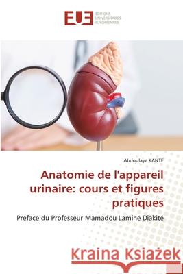 Anatomie de l'appareil urinaire: cours et figures pratiques Kanté, Abdoulaye 9786209090684 Éditions universitaires européennes - książka
