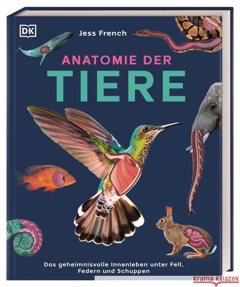 Anatomie der Tiere French, Jess 9783831050451 Dorling Kindersley Verlag - książka