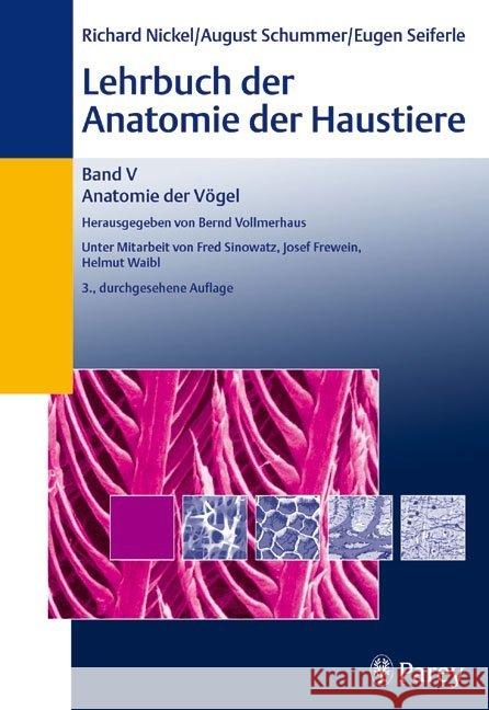 Anatomie der Vögel Nickel, Richard Schummer, August Seiferle, Eugen 9783830441533 Parey bei MVS - książka