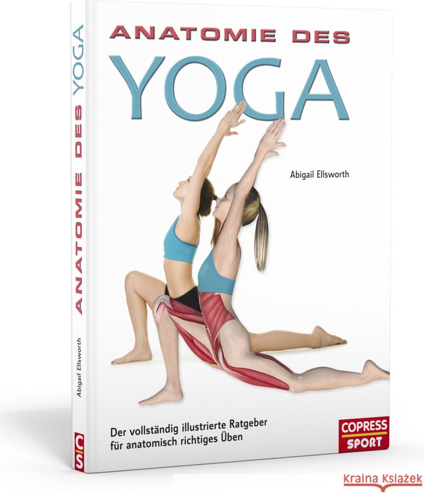 Anatomie des Yoga : Der vollständig illustrierte Ratgeber für anatomisch richtiges Üben Ellsworth, Abigail 9783767911482 Copress - książka