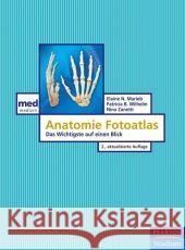 Anatomie Fotoatlas : Das Wichtigste auf einen Blick Marieb, Elaine N.; Wilhelm, Patricia B.; Zanetti, Nina 9783827372918 Pearson Studium - książka