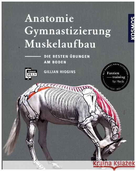 Anatomie, Gymnastizierung, Muskelaufbau : Die besten Übungen am Boden. Faszientraining für Pferde. Mit kostenloser KOSMOS-PLUS-App Higgins, Gillian 9783440157442 Kosmos (Franckh-Kosmos) - książka
