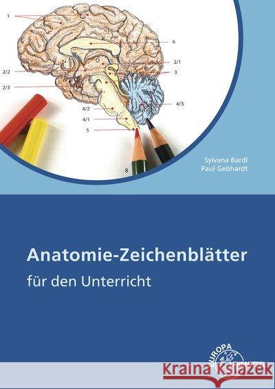 Anatomie-Zeichenblätter für den Unterricht Bardl, Sylvana; Gebhardt, Paul 9783808568071 Europa-Lehrmittel - książka