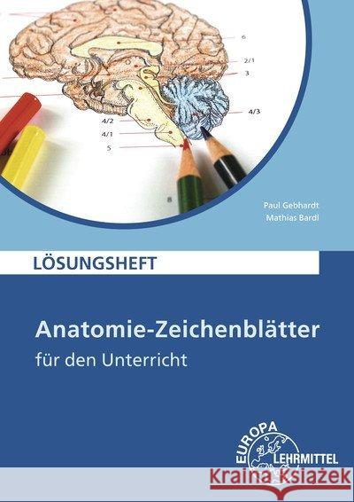 Anatomie-Zeichenblätter für den Unterricht, Lösungsheft : Deutsch und Fachbezeichnung Gebhardt, Paul; Bardl, Mathias 9783808568101 Europa-Lehrmittel - książka